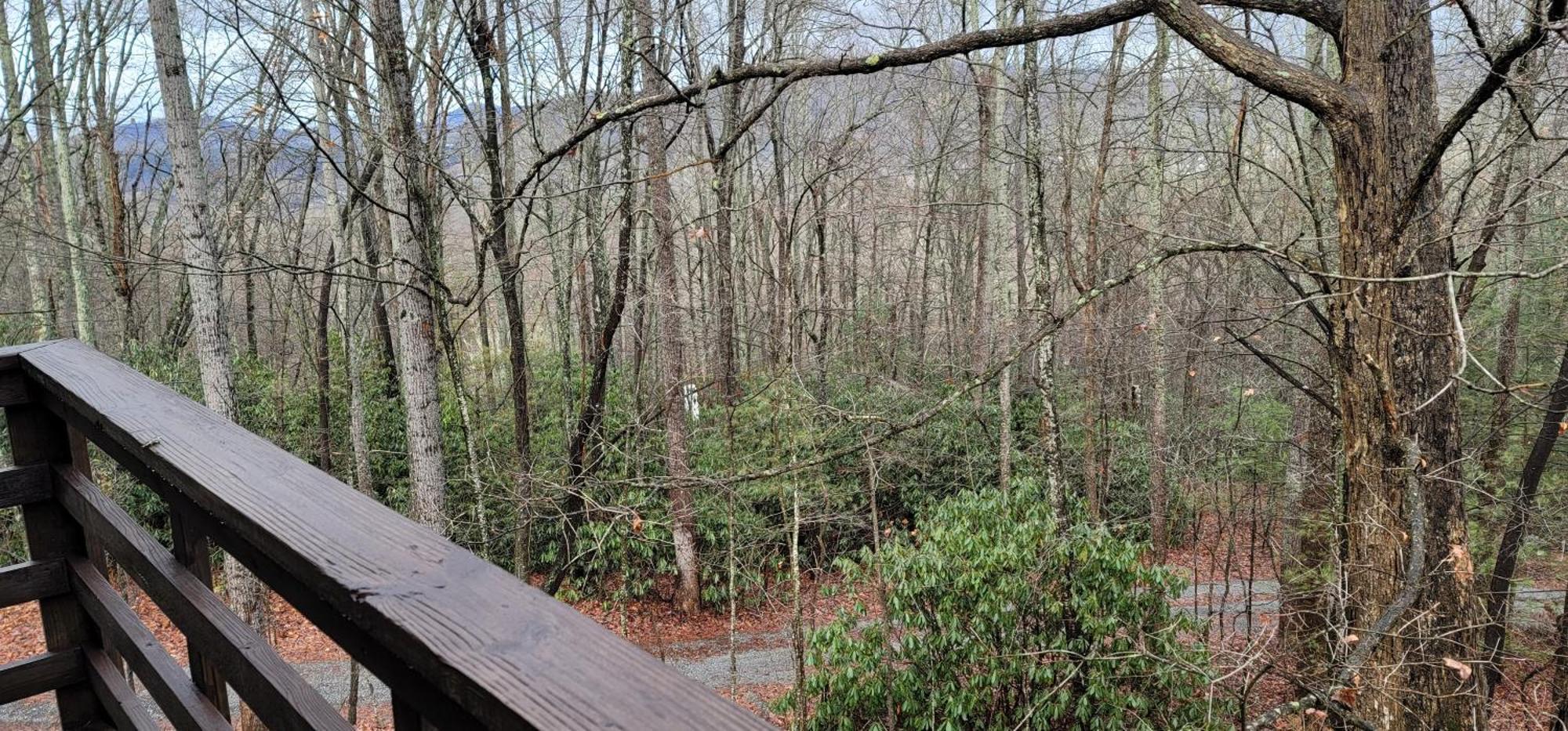 Fletcher Nc Getaway Exterior photo